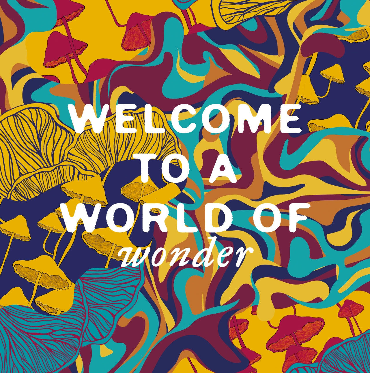 Welcome to a world of wonder
