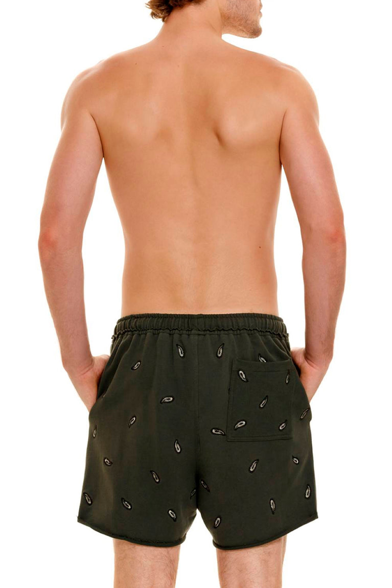Hover Alternative image - Cipres-Cece-Men-Shorts-14259-back-with-model
