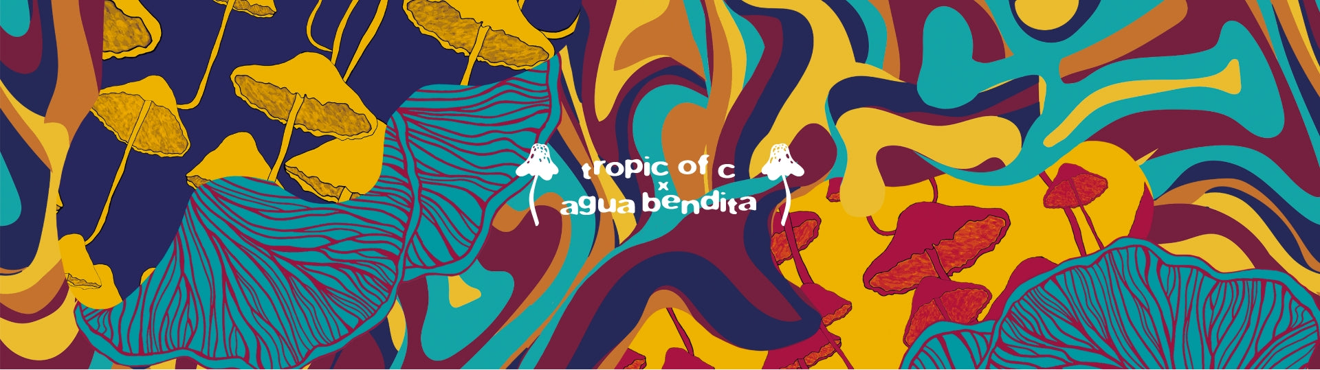 Agua Bendita x Tropic of C