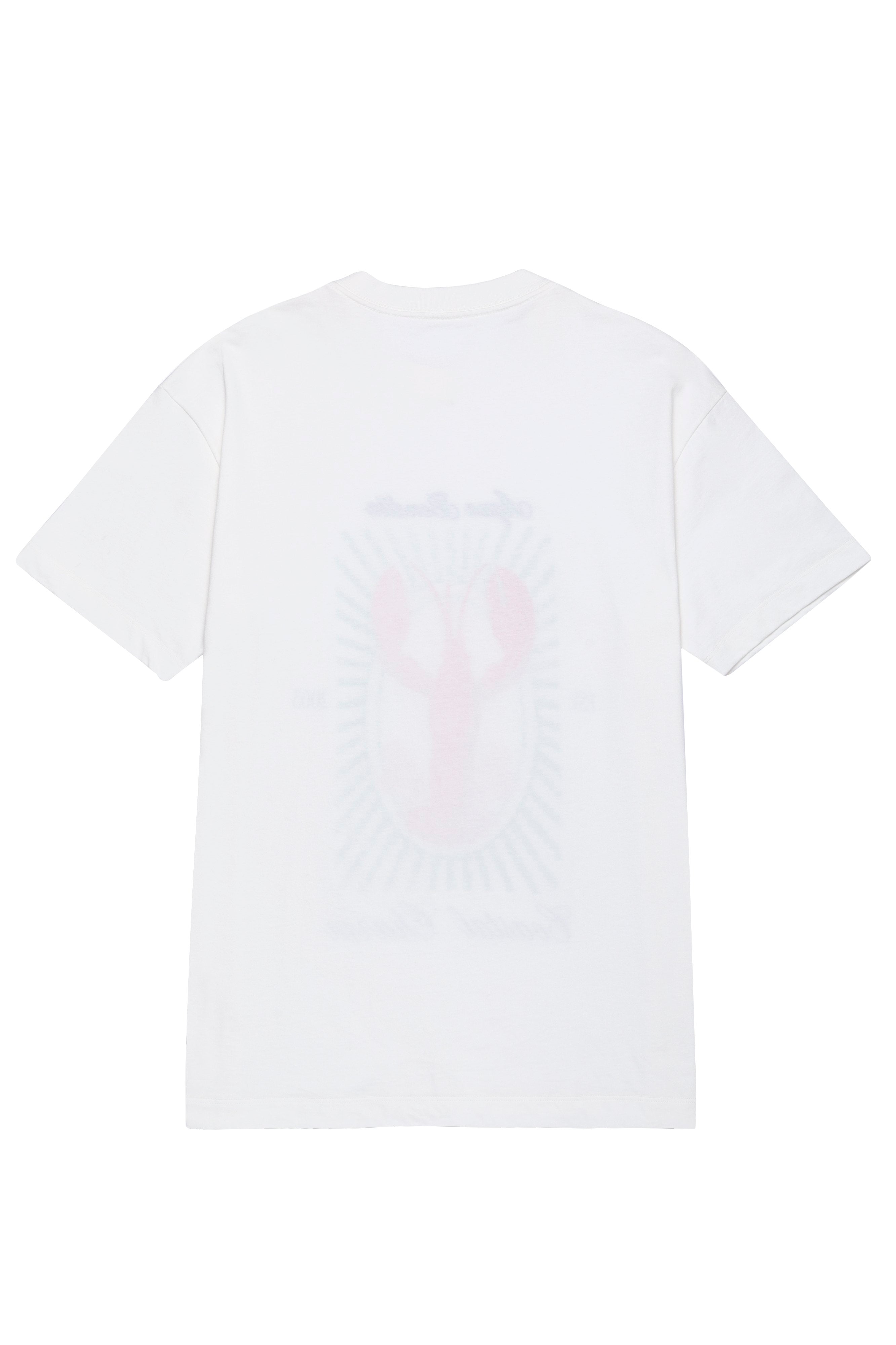 Alina-Jhoselyn-T-Shirt-21734-5.jpg