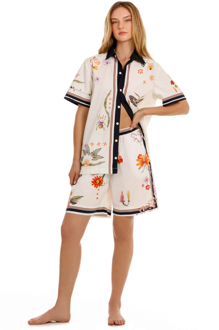 Ambar-Ali-Shirt-19315-1.jpg - 1