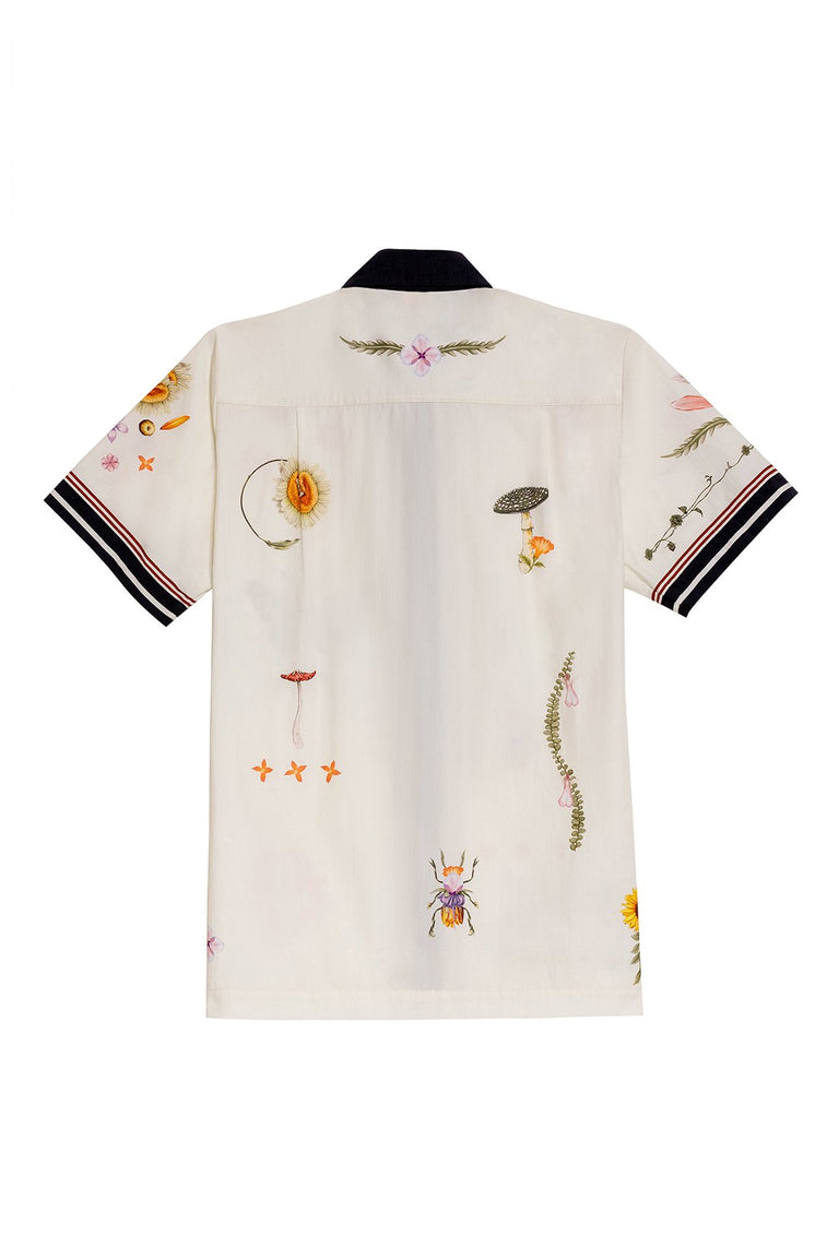 Ambar-Ali-Shirt-19315-5.jpg - 5