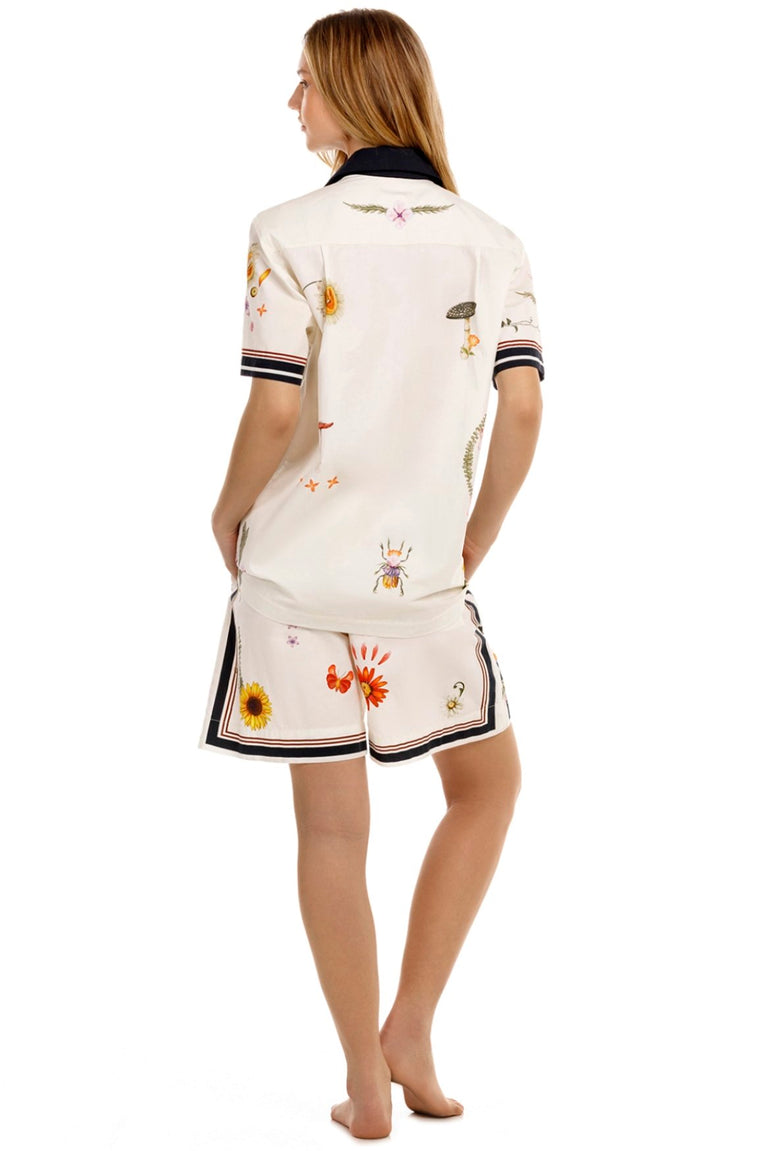 Main image -  Ambar-Malaga-Shorts-19319-1.jpg