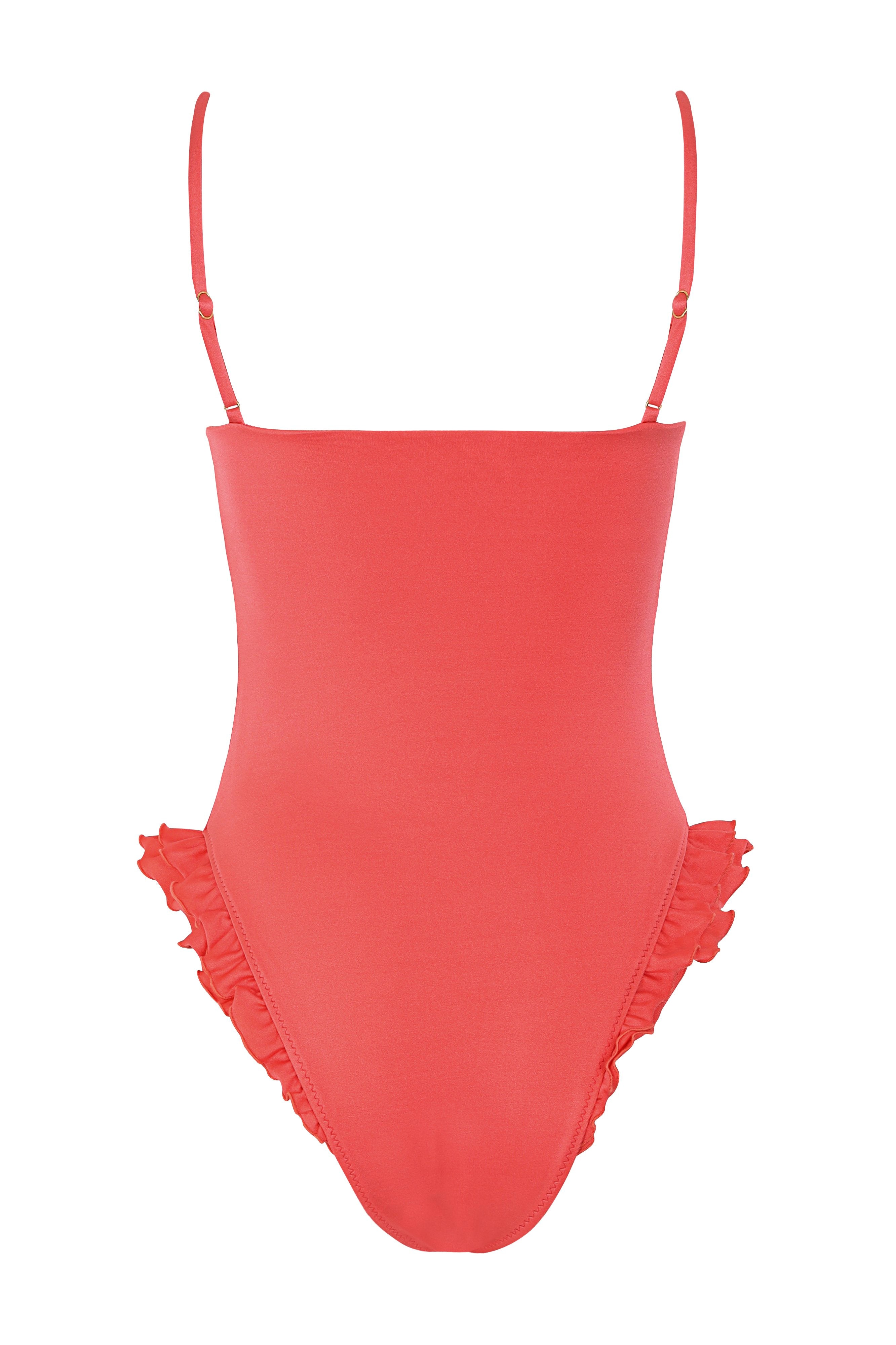 Bleu-Rose-One-Piece-Swimsuit-21686-5.jpg