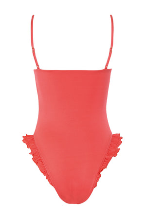 Bleu-Rose-One-Piece-Swimsuit-21686-5.jpg