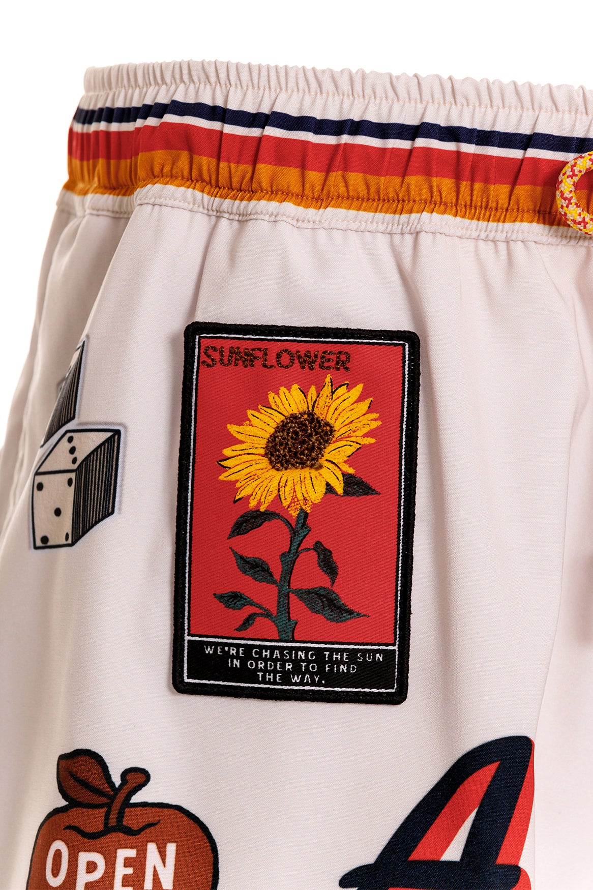 Bosco-joe-mens-swim-trunks-18259-6