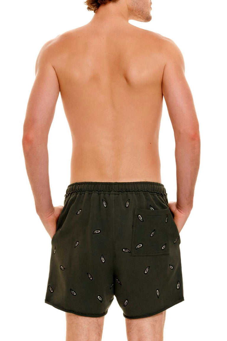 Cipres-Cece-Men-Shorts-14259-back-with-model - 2