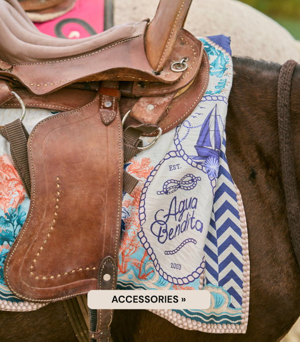 Accessories | Discover Here