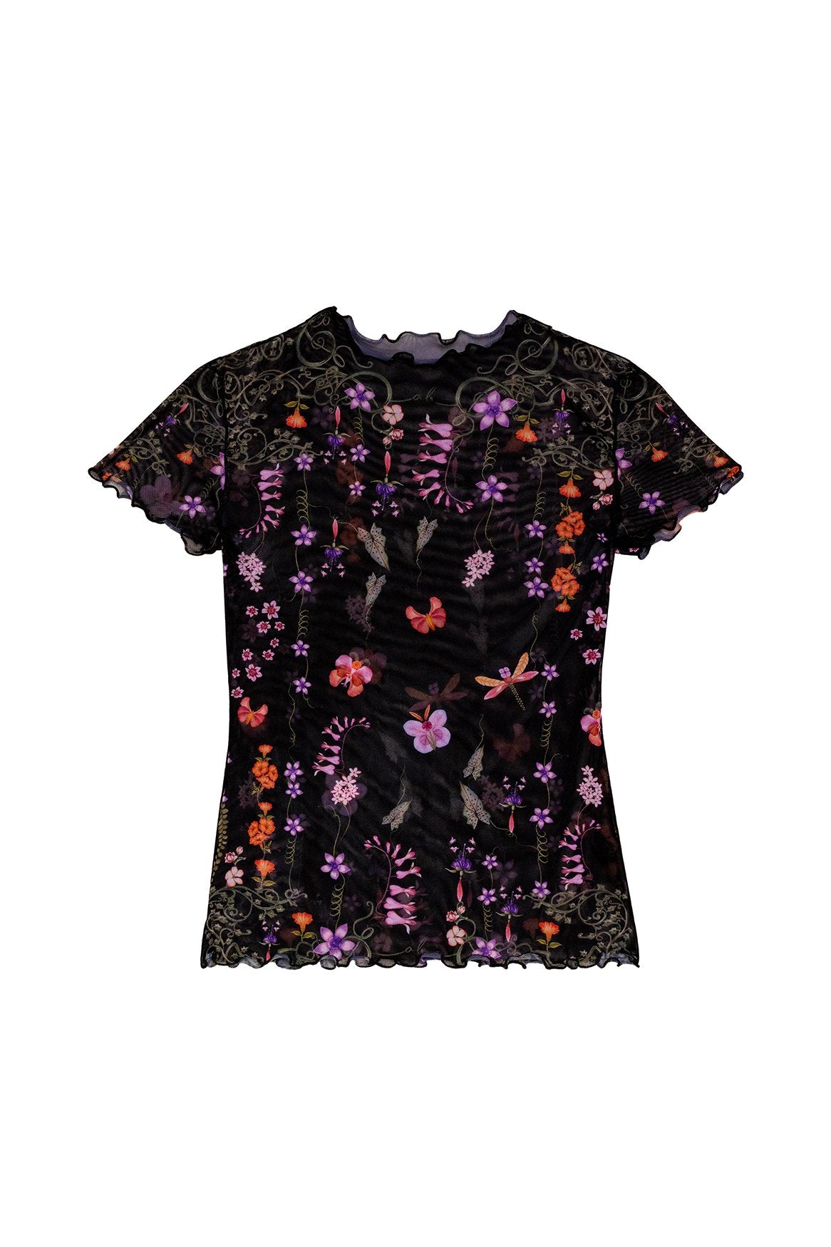 Similar-Ambar-Leona-T-Shirt-19326-3.jpg
