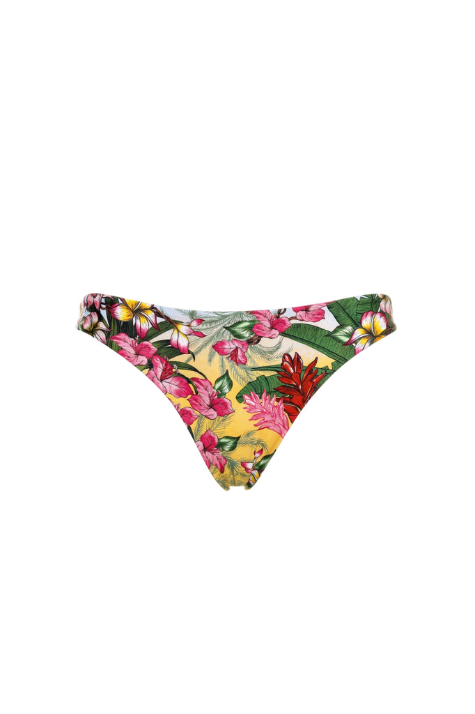 New Arrivals | Agua Bendita